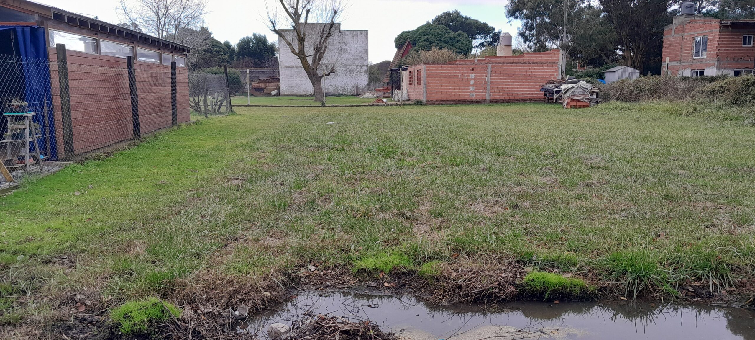 1000676736