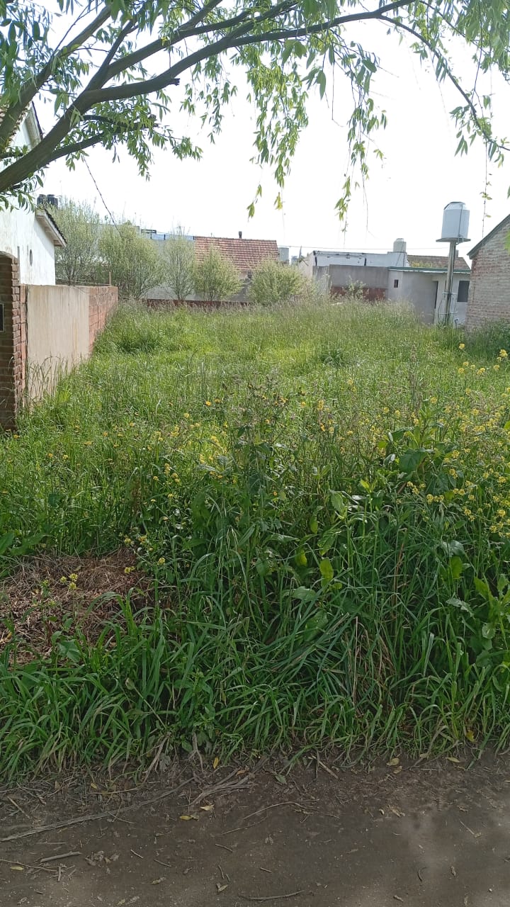 45458e23-88f5-47a0-bc5c-6e0375ace64c