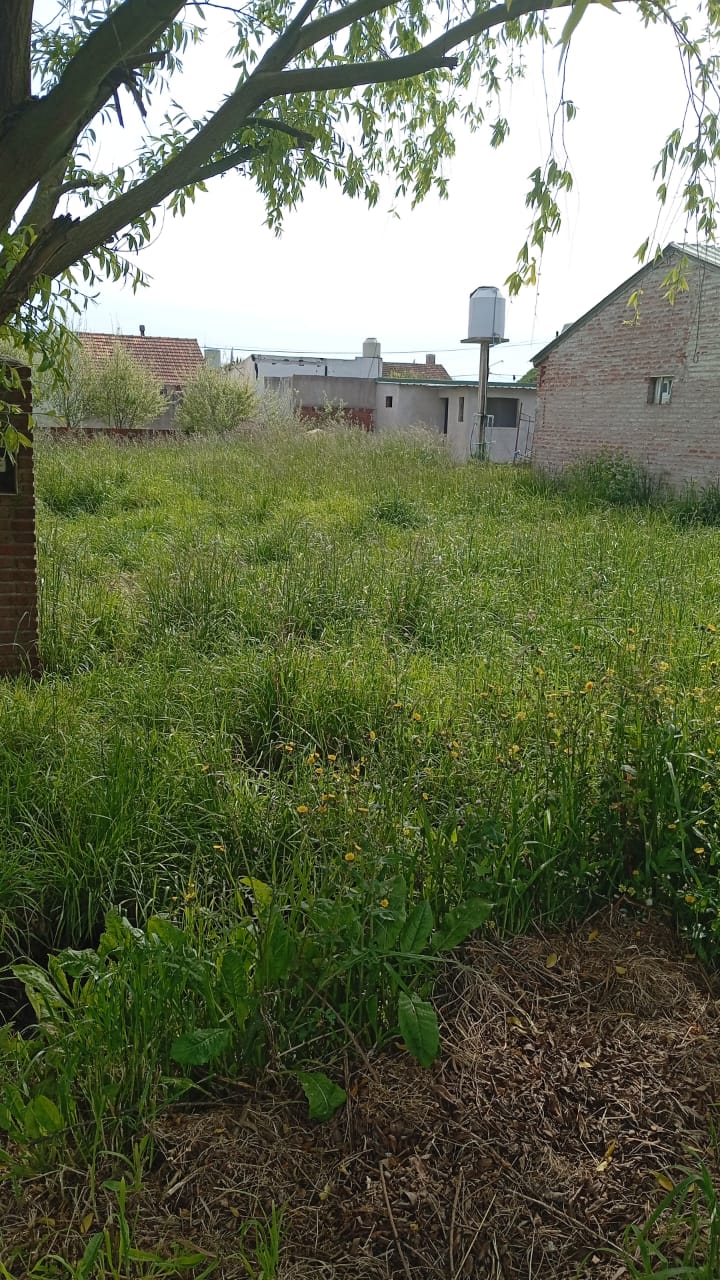 c46a5d31-657a-4580-b3dd-9701e4e08cfc