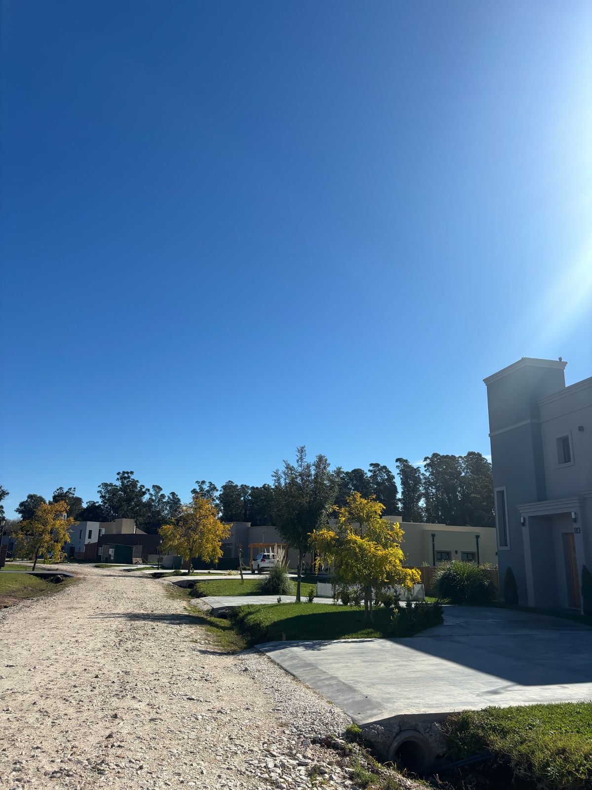 8381f113-45e8-4363-a7f4-4b71ae97d196