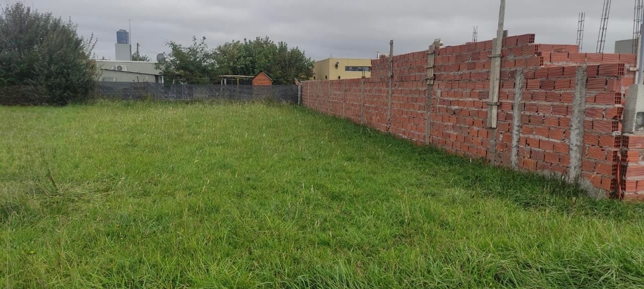 cb5548df-9cb4-4cf8-8efd-22c0da77a228