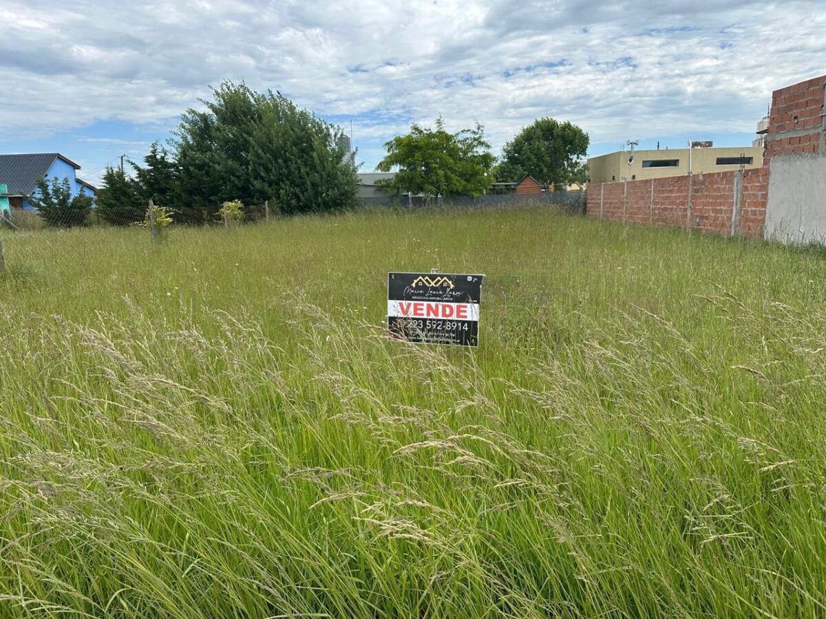 c73ba1e1-ffdc-494d-9179-6844f55e0e7d