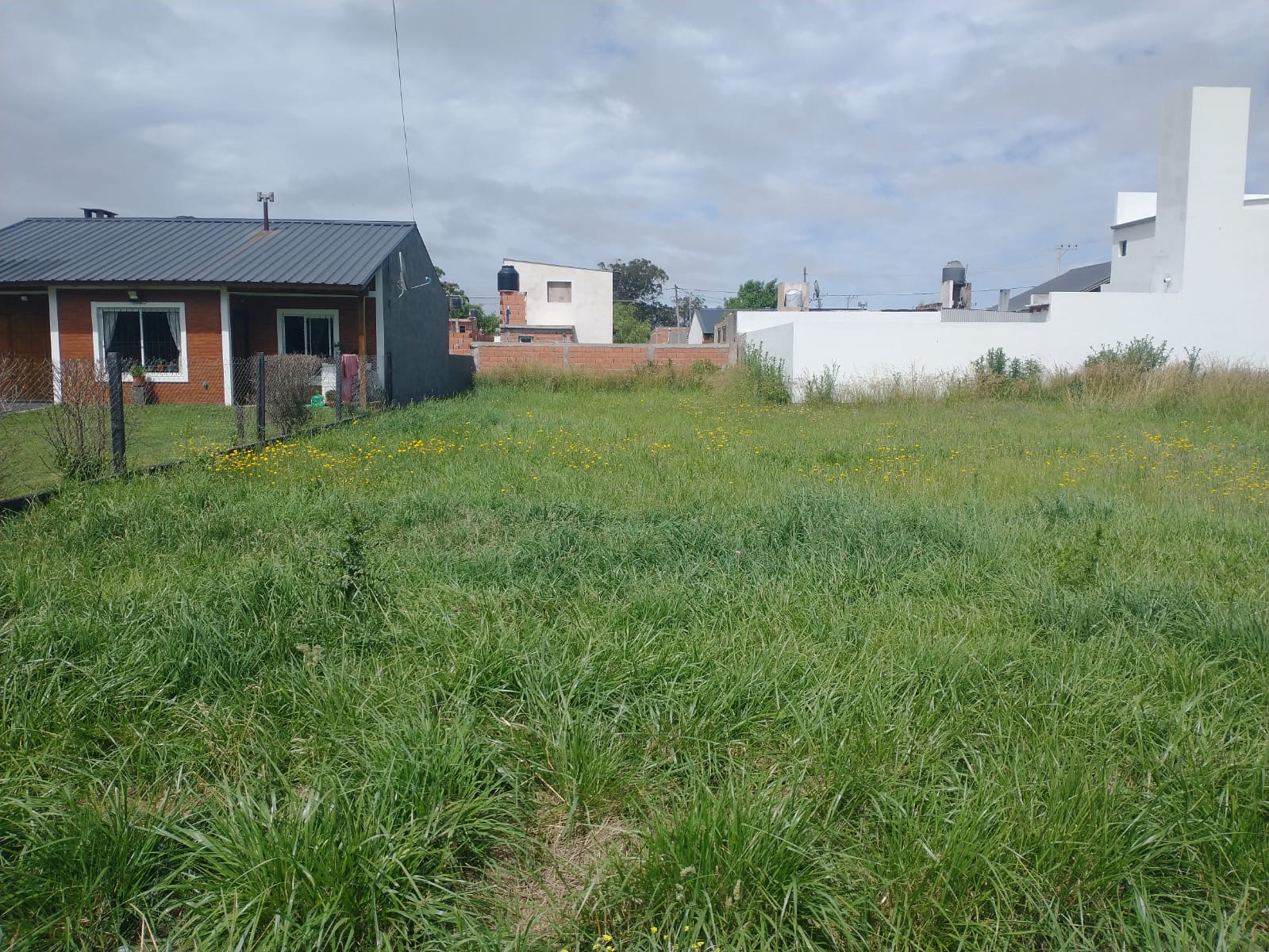 808c1a2a-391f-407e-b748-a5c44935d958