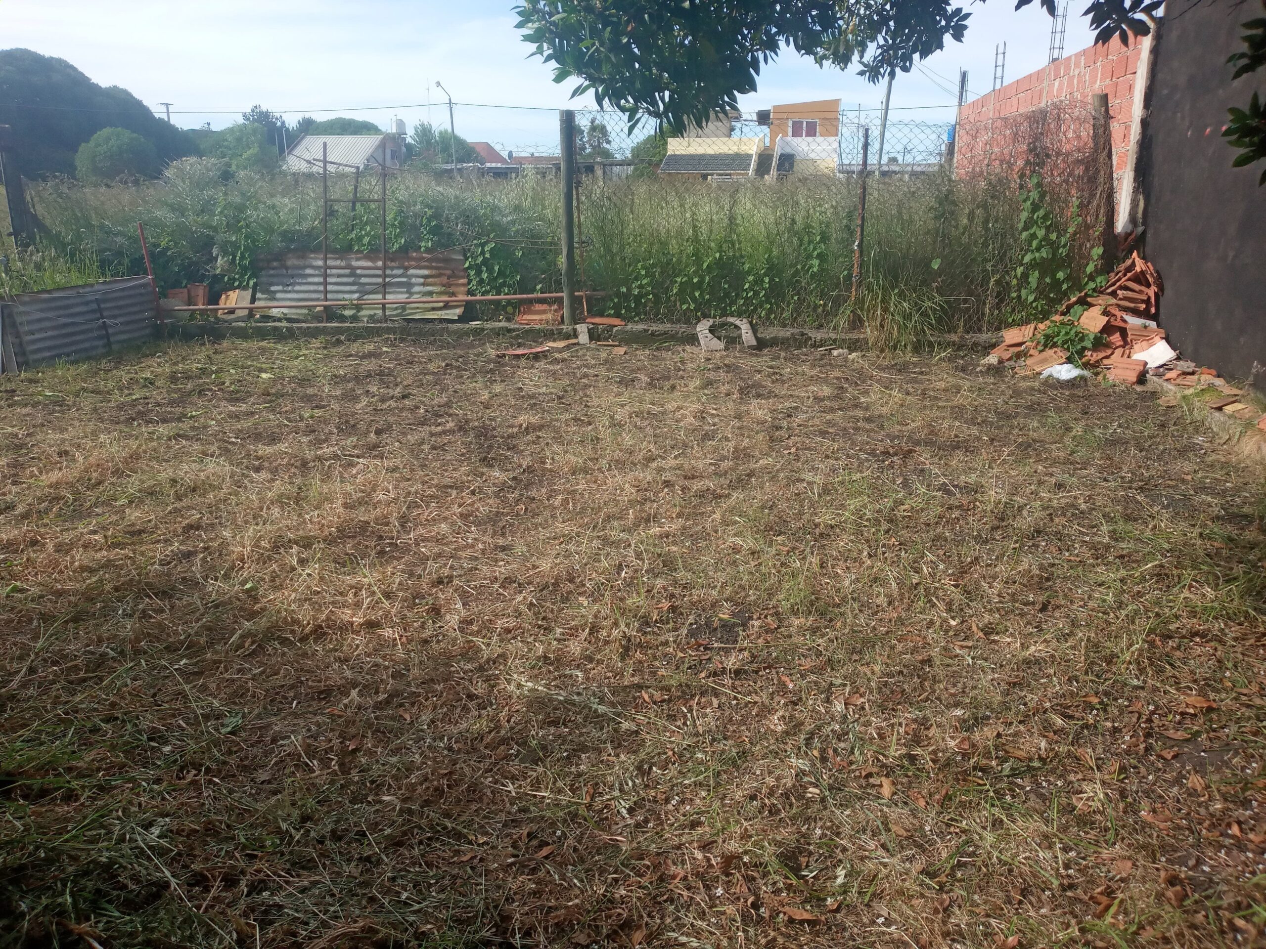 e31848e2-afac-4feb-8a15-74ff9cb07144