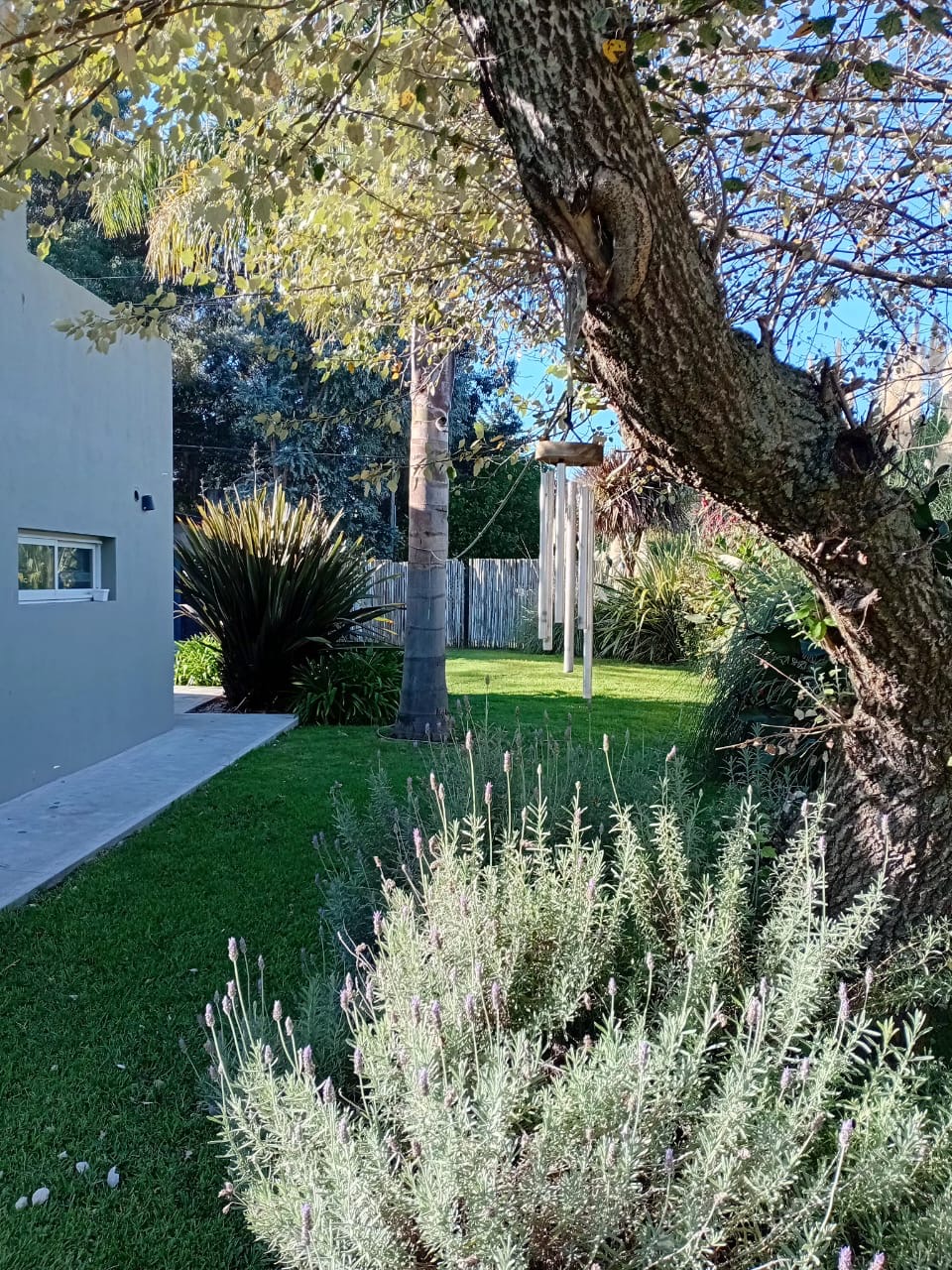 5368e5d3-72ab-4a79-baf6-7f173e44d69d