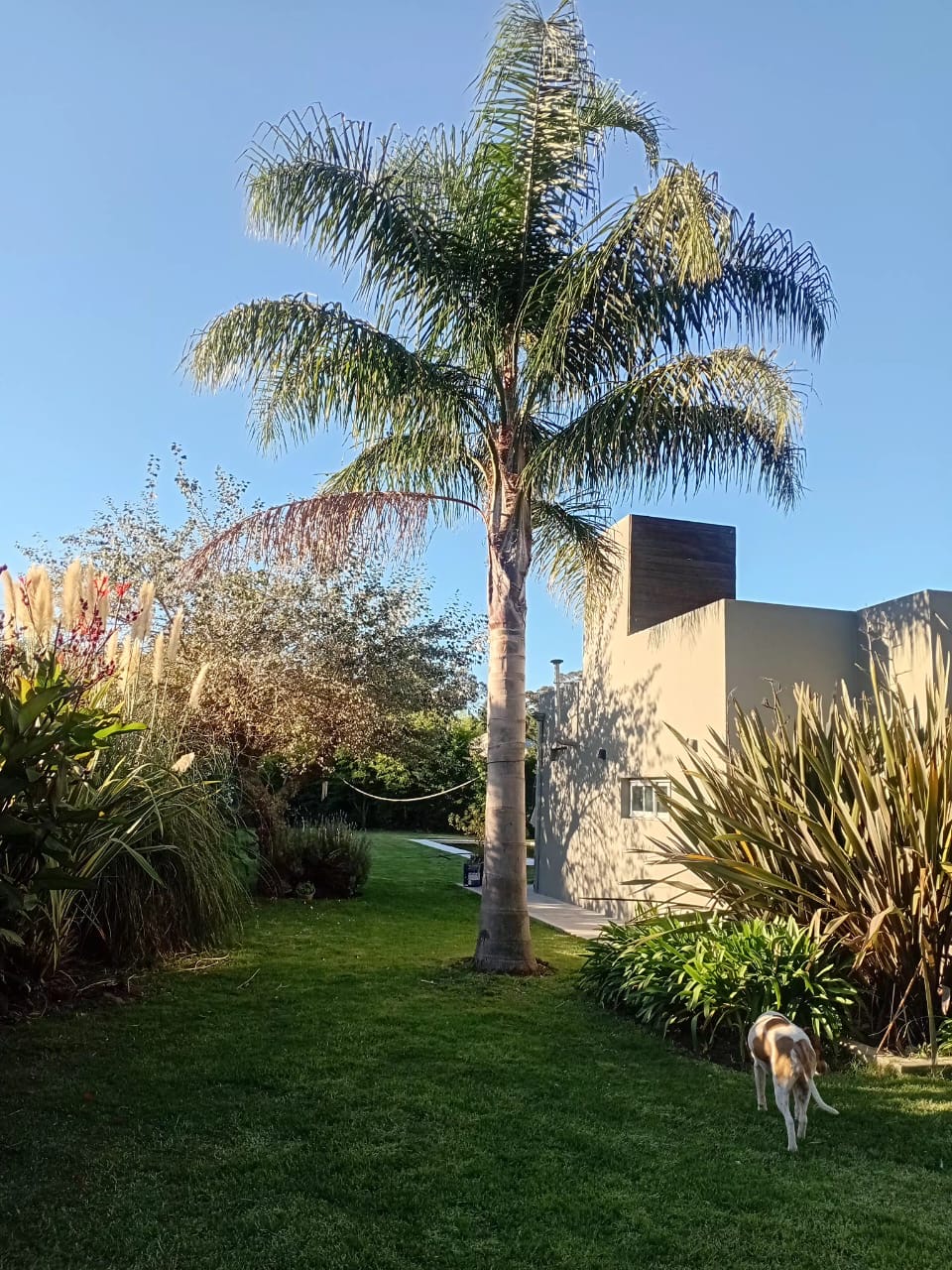 4ab1904e-9f14-441a-ac8f-d6fc47b1d50c