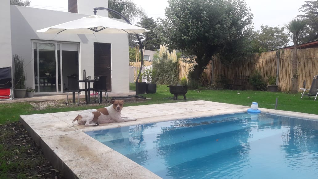 52925f2c-181b-43c0-bf32-604614f87c88